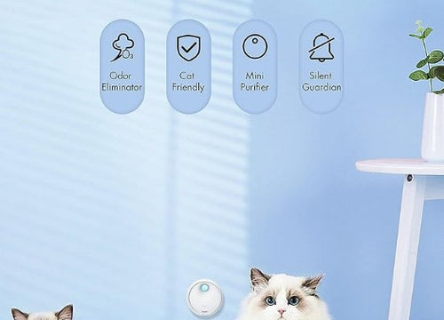 Odormun: Elevating Pet Care with Advanced Air Purifiers