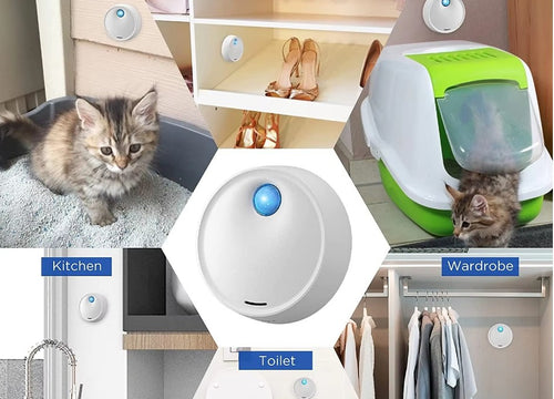 Pet air freshener Odormun Provide comfort and coziness for you and your pets