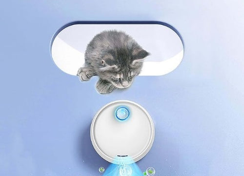 Odormun: Elevating Pet Care with Advanced Air Purifiers