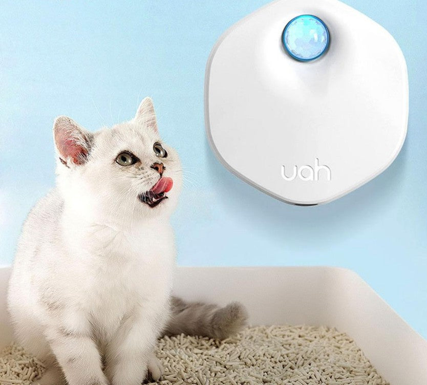 Clean Air is a new product for eliminating unpleasant odors in the house pets live in  Odormun