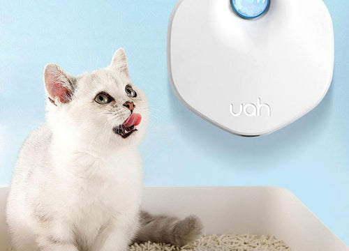 Clean Air is a new product for eliminating unpleasant odors in the house pets live in  Odormun