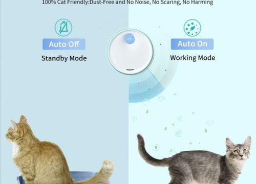 Odormun: Elevating Pet Care with Advanced Air Purifiers