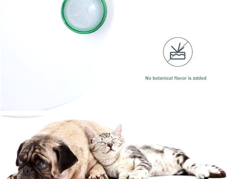 Odormun: Elevating Pet Care with Advanced Air Purifiers