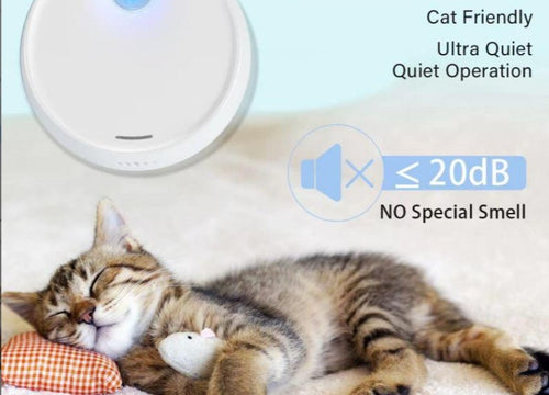 Odormun: Elevating Pet Care with Advanced Air Purifiers