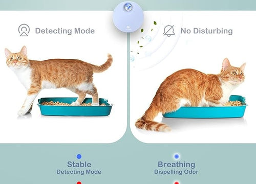 Odormun: Elevating Pet Care with Advanced Air Purifiers