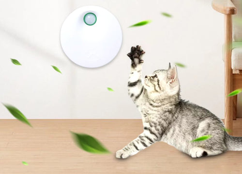 Odormun: Elevating Pet Care with Advanced Air Purifiers