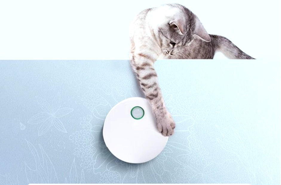 Homemade pet safe air freshener Odormun is the perfect solution for caring owners