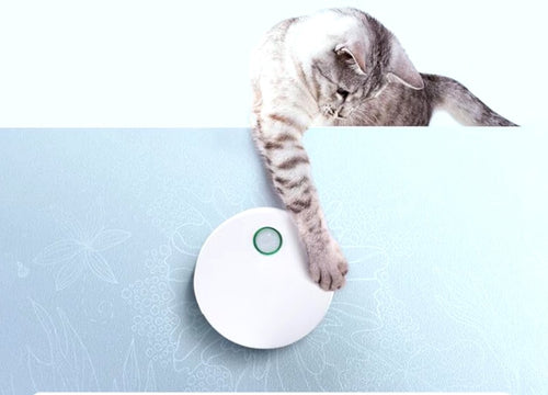 Odormun: Elevating Pet Care with Advanced Air Purifiers