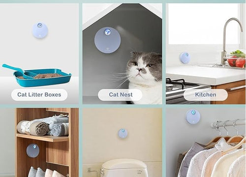 Odormun: Elevating Pet Care with Advanced Air Purifiers