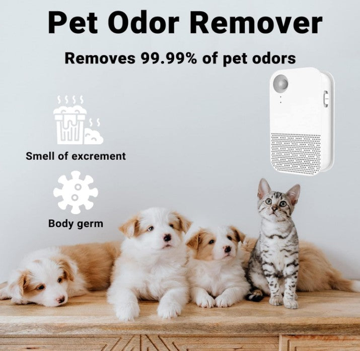 Odor neutralizers are the best help in the house  ODORMUN