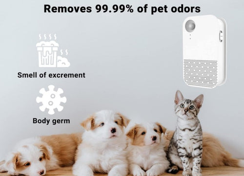 Odor neutralizers are the best help in the house  ODORMUN