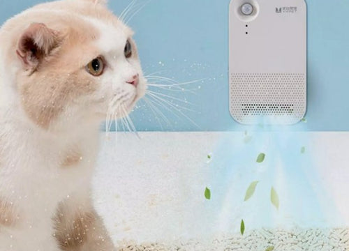 Clean air in the pet's toilet is something every pet owner needs Odormun