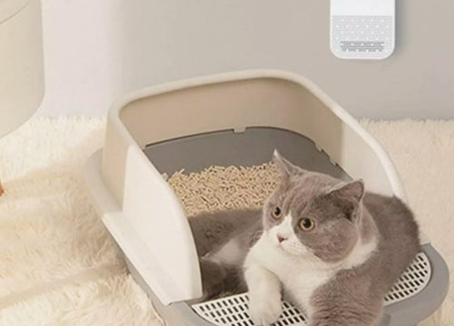 Clean air Odormun is the new formula for freshness in the cats' litter box