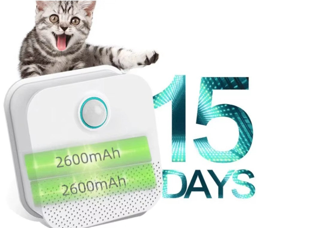 Cat and Odormun Air Freshener: Explore Animals' Hilarious Reactions to Unusual Toilet Scents