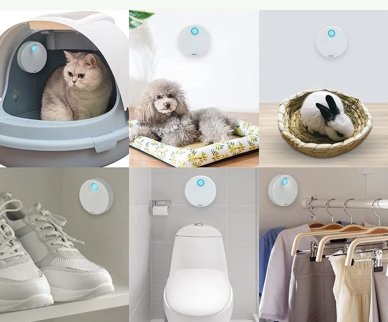 Odormun Pet Air Purifier: care for pets and our mutual respect