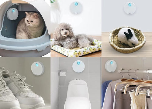 Odormun Pet Air Purifier: care for pets and our mutual respect