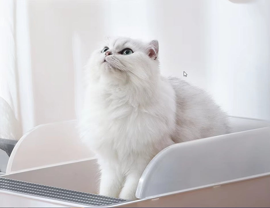 Cat in toilet with air freshener for animals