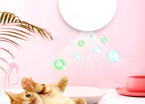 Pet Air Purifier