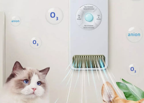 Odormun: Elevating Pet Care with Advanced Air Purifiers