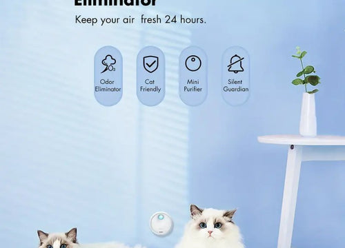 Air freshener for pets' toilets Odormun