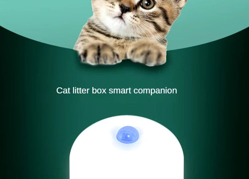 Odormun: Elevating Pet Care with Advanced Air Purifiers