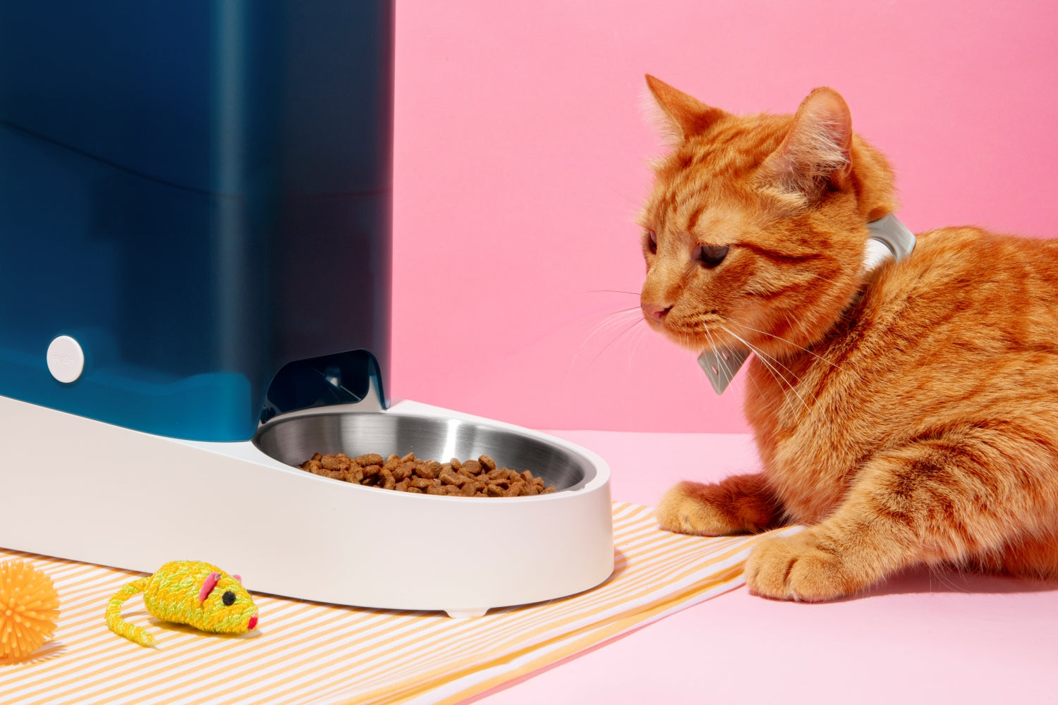 Top 5 Smart Devices Every Pet Owner Needs for a Happy, Healthy Pet