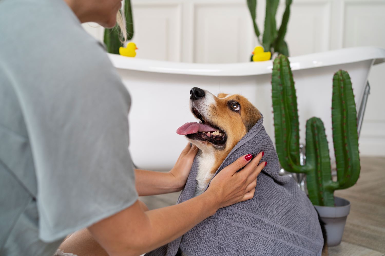 The Importance of Keeping Pets Clean: Health, Comfort, and Fresh Scents