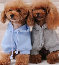 Pet Fashion Trends ideas dog clothes Pet Fashion cat clothes