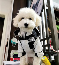 Dog Pet Clothing 
Pet fashion inspo ideas
Cat clothes