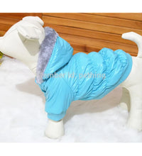 Pet fashion inspo ideas Winter Dog Jacket Pet clothes