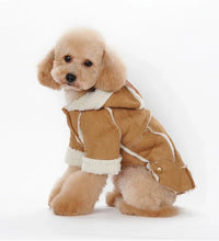 Pet fashion inspo ideas Winter Dog Jacket Pet clothes Red Yellow Brown