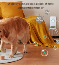 Sensor Air Purifier