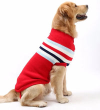 Pet Fashion Trends ideas dog clothes Pet Fashion - cat clothes