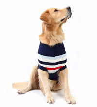 Pet Fashion Trends ideas dog clothes Pet Fashion - cat clothes