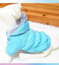 Pet fashion inspo ideas Winter Dog Jacket Pet clothes