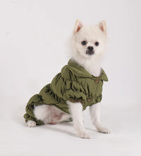 Pet fashion inspo ideas Winter Dog Jacket Pet clothes cat clothes-cat fashion