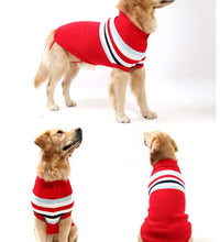 Pet Fashion Trends ideas dog clothes Pet Fashion - cat clothes