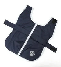 Pet fashion inspo ideas Winter Dog Jacket Pet clothes four colors