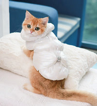 Pet fashion inspo ideas Winter Pet clothes
Cat Princess Cat fashion Cat clothes