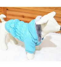 Pet fashion inspo ideas Winter Dog Jacket Pet clothes