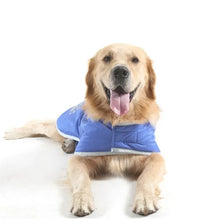 Pet fashion inspo ideas Winter Dog Jacket Pet clothes four colors