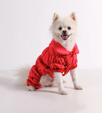 Pet fashion inspo ideas Winter Dog Jacket Pet clothes cat clothes-cat fashion