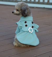 Pet Fashion Trends ideas clothing for dogs Fashion for pets clothing for cats Pet fashion inspo ideas