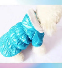 Pet fashion inspo ideas Winter Dog Jacket Pet clothes