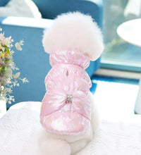 Pet fashion inspo ideas Winter Pet clothes
Cat Princess Cat fashion Cat clothes