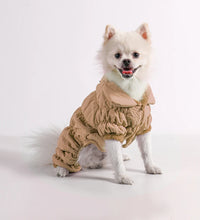 Pet fashion inspo ideas Winter Dog Jacket Pet clothes cat clothes-cat fashion