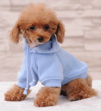 Pet Fashion Trends ideas dog clothes Pet Fashion cat clothes