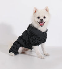 Pet fashion inspo ideas Winter Dog Jacket Pet clothes cat clothes-cat fashion