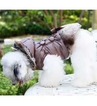 Pet Fashion Trends ideas clothing for dogs Fashion for pets clothing for cats- Pet fashion inspo ideas  Pet Products